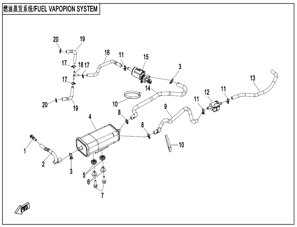 F36 Fuel Vapopin System